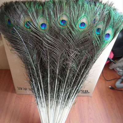 10Pcs Natural Peacock Tail Feathers Wedding Home Decor Floral Craft DIY Random   362176704133
